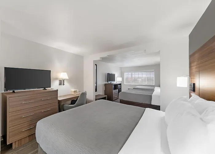 Quality Inn Near Seaworld - Lackland